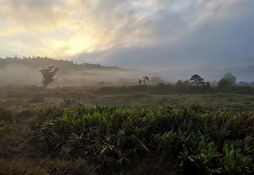 Parque Nacional Barbilla