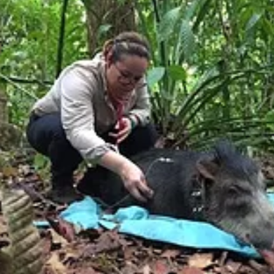 Dra. Isabel Hagnauer